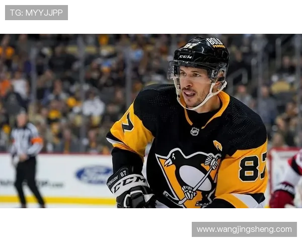 零基础也能学会的实用冰球教学视频全攻略带你快速掌握关键技巧